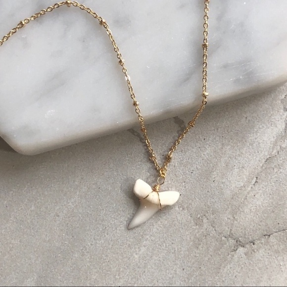 ❗️LAST❗️Dainty Shark Tooth Necklace - Picture 2 of 6